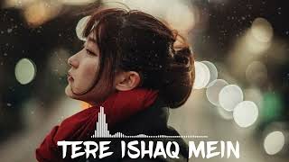 Tere Ishaq Mein  Hindi Heart Touching Songs 2024  Mind relax song  Latest Hindi Song 2024 romant [upl. by Stoll275]