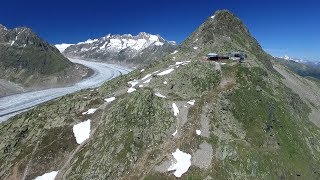 Aletsch Arena  Aletsch Halbmarathon 2017 [upl. by Cirenoj517]