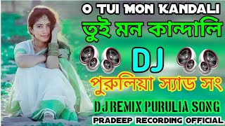 O Tui Mon Kandali  তুই মন কান্দালি  DJ remix Purulia song  2024 [upl. by Nordin186]