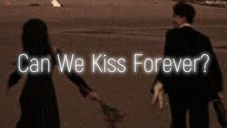 Kina  Can We Kiss Forever  Lyrics [upl. by Aira926]