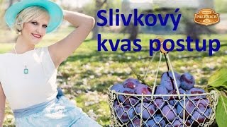 Ako založiť slivkový kvas vinársky spôsob [upl. by Issej]