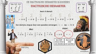 Wie du Hexameter skandierst  Latein  Texte verstehen [upl. by Enimassej799]