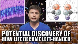 Accidental Breakthrough on Origins of Life Why Are All Proteins LeftHanded [upl. by Merrilee]