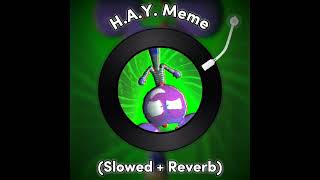 HAY Meme Slowed  Reverd Tayton 4000 [upl. by Lotti978]