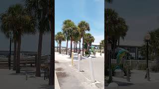 DUNEDIN FLORIDA shorts [upl. by Lissi]