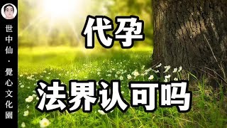 世中仙  代孕 法界认可吗 [upl. by Oina]