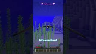 Minecraft But Im A Phantom [upl. by Adas]