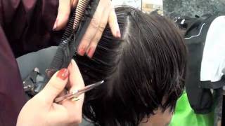 HAIRCUTTING Layer haircut with scissors [upl. by Vigor]