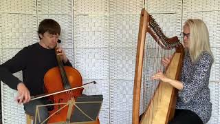 Concerning Hobbits  Lord of the Rings  harp and cello [upl. by Eelyahs]