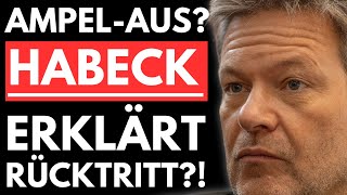 💥EILMELDUNG HABECK VOR DEM AUS WEIDEL ZERLEGT HABECK IM BUNDESTAG💥 [upl. by Eissim]