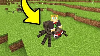 COMO MONTAR NAS ARANHAS DO MINECRAFT POCKET EDITION [upl. by Alahc]