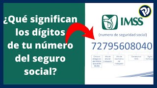 Que significan los dígitos de tu número del seguro social imss [upl. by Gnahk923]