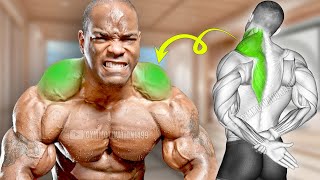 5 Best Traps Workout Big Trapezius Exercises [upl. by Anawk536]