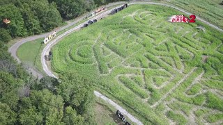 RAW Drone view of Kersey Valley Corn Maze [upl. by Zacharie]