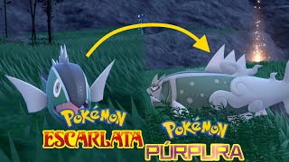 ✅ Cómo Evolucionar Basculin en Basculegion en el DLC de Pokémon Escarlata y Purpura [upl. by Etnod825]