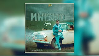 Killy  Mwisho Official Audio [upl. by Mayyahk]