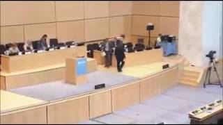 Excellent speech by Gagan Thapa in Geneva [upl. by Naitsihc]