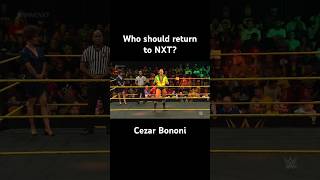 Do you remember these NXT Superstars Part 2 [upl. by Yee]