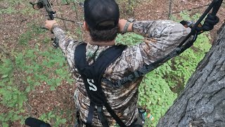 SELF FILMED  kill shot buck at 15 YARDS [upl. by Robenia794]