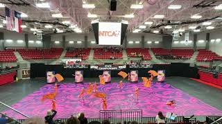 Southlake Carroll Winter Guard 47 NTCA State Championship Finals [upl. by Einnaffit]