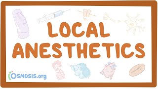 Local anesthetics pharmacology [upl. by Laersi314]