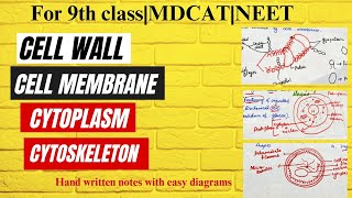 Cellular Structures amp functions9th Class Biology  Chapter 4  Cell wallCell membraneCytoskeleton [upl. by Rengia]