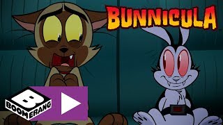 Bunnicula  Spooky Road Trip  Boomerang UK 🇬🇧 [upl. by Nnad]