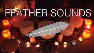 Flapping Feathers Healing Sounds 4k No Talking Unintentional ASMR [upl. by Maighdlin]