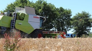 CLAAS Tucano 440  Nouvelle moissonneuse pour la Cuma de Juigné [upl. by Enoval]