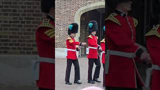 Welsh Guards walk back to Wellington Barracks from St James Palace thekingsguard [upl. by Agnot]