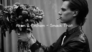 Akon amp Eminem  Smack That Lyrics [upl. by Yentirb]