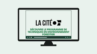 Découvre le programme de Techniques en environnement forestier de La Cité [upl. by Dell]