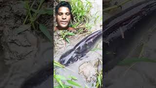 Viral🐬🐬2024fish​ fishing video​ [upl. by Licna]