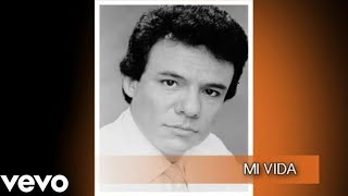 José José  Mi Vida Cover Audio [upl. by Cacie]