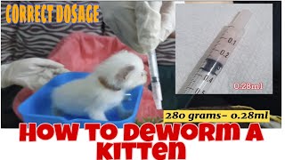 How to Deworm Cats Naturally with Diatomaceous Earth [upl. by Edmonda364]