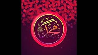 يا محمد، يا رسول الله  نحن نحبك، يا خير الأنام  نورك أضاء دروبنا  muhammadﷺ rasoolallah love [upl. by Anaidirib]