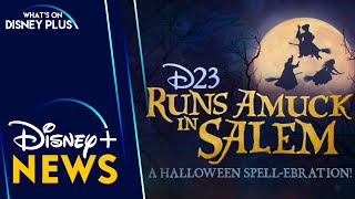 D23 Runs Amuck In Salem – A Halloween Spellebration Special Event Announced  Disney Plus News [upl. by Gwendolyn]