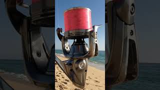 Shimano aero technium MgS XSD surfcasting pesca portugal shimanofishing beach reel [upl. by Janenna]