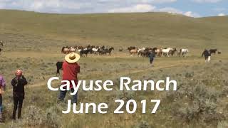 Cayuse Ranch [upl. by Prissie]