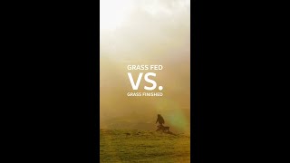 Grass Fed vs Grass Finished Beef [upl. by Hufnagel]