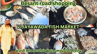 Vijayawada fish market  Fish market in Vijayawada  besant road shopping vlog in tamil [upl. by Aelam]