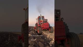 INTERNATIONAL 1566 Tractor bigtractorpower caseih tractor internationalharvester automobile [upl. by Yahsat241]