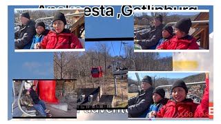 How the adventures begin at Anakeesta adventure Park Gatlinburg Tennessee youtube trending park [upl. by Seka]