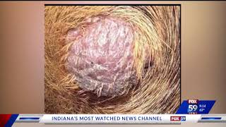 Cancer Symptoms in Pets  Lumps and Bumps [upl. by Beret]