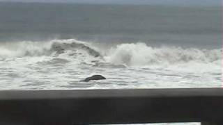 Playa Hermosa Costa Rica surf contest  Surfing Legends  wwwCRSURFcom [upl. by Price]