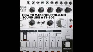 Make your TD3Mo sound like a TB303 [upl. by Brady]