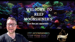 Reef Moonshiners  The Full Guide [upl. by Dehsar]