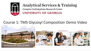 Glycosyl Composition Demo  Trimethylsilyl [upl. by Eneryc436]