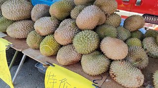 Durian at Bentong 文冬吃榴莲 [upl. by Nauqes]