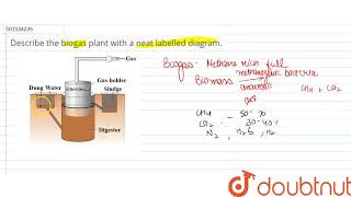 Describe the biogas plant with a neat labelled diagram  CLASS 12  MICROBES IN HUMAN WELFARE [upl. by Sidoma]